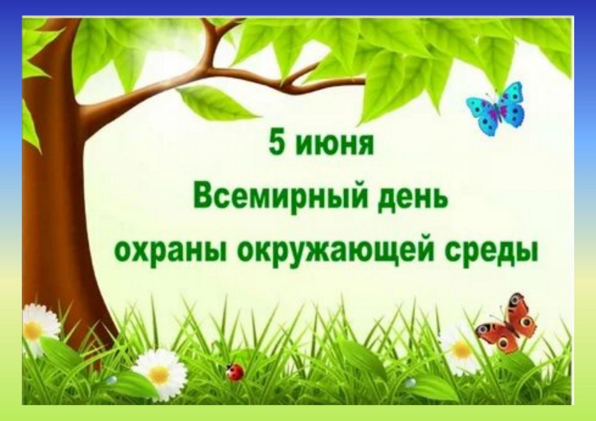 День четвертый - День защиты окружающей среды..